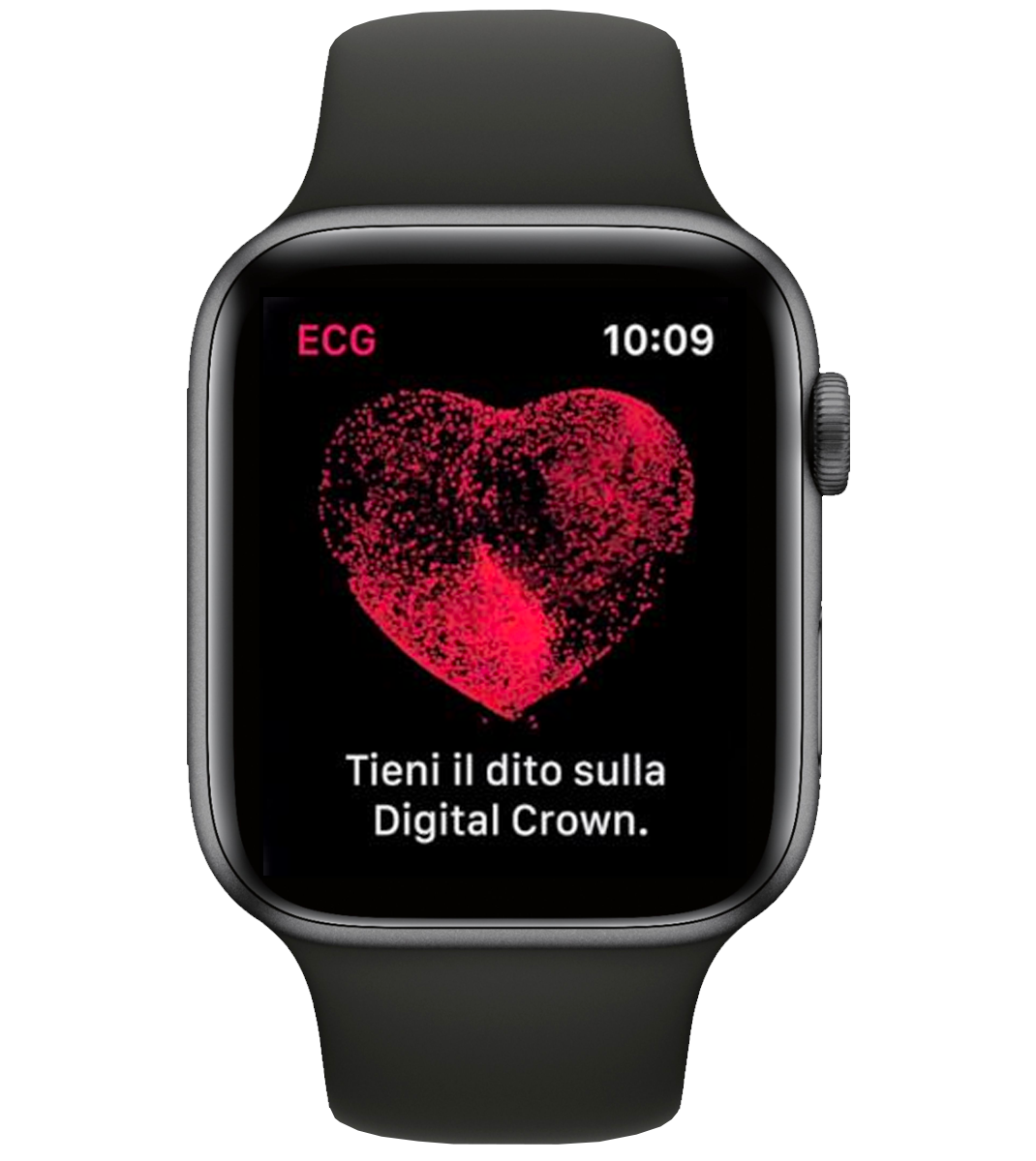 ECG Apple Watch iimagine cuore